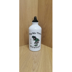 P?g Mo Th?in   from  Wexford  Sports Bottle