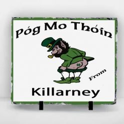 Killarney Slate Tiles