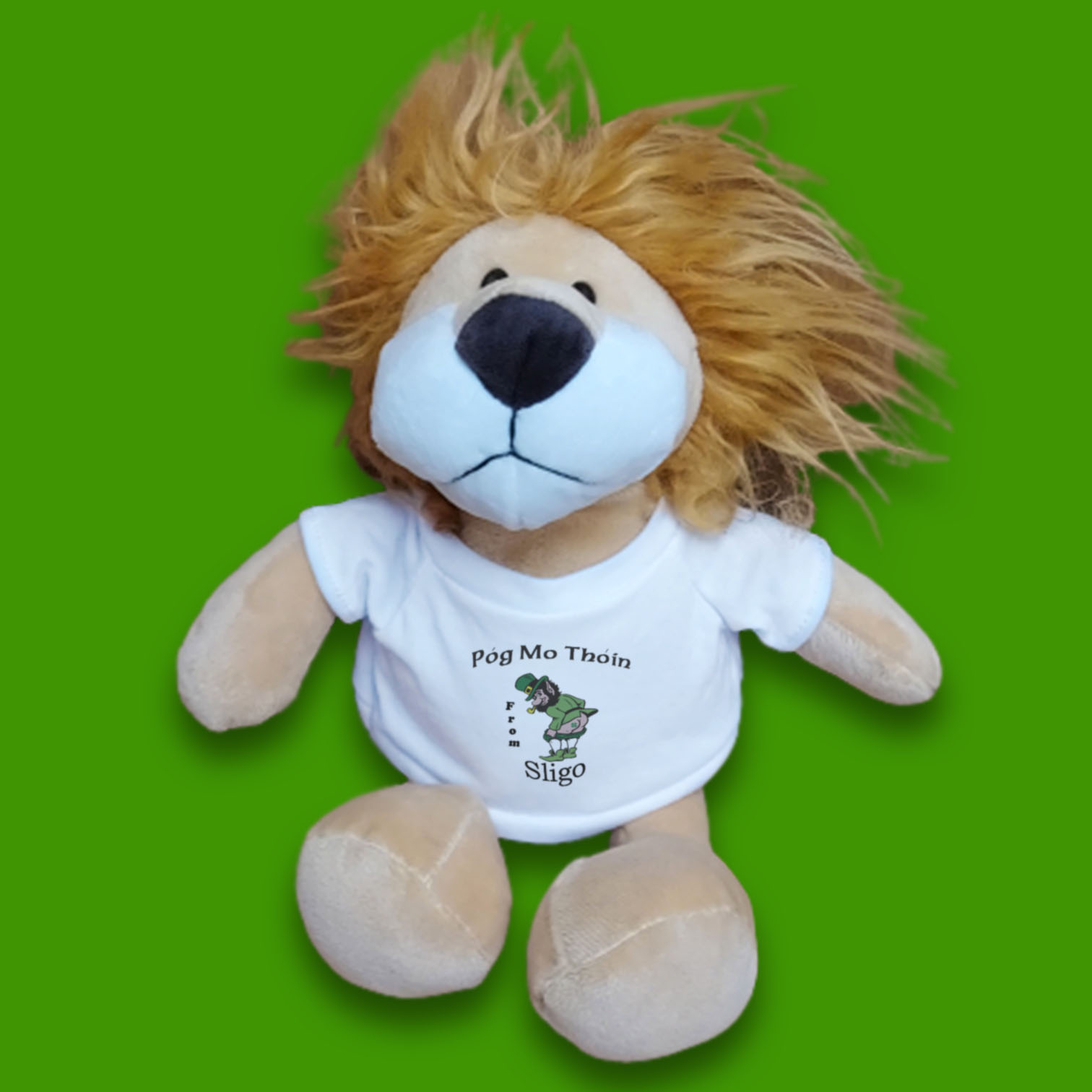 Pog Mo Thoin Plush Toy Sligo