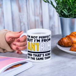 Mug #3  -  I'm not perfect, I'm from Antrim Mug