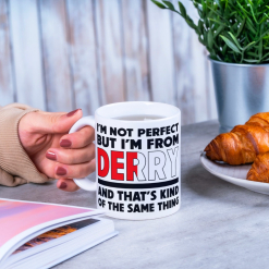 Mug #3  -  I'm not perfect, I'm from Derry Mug