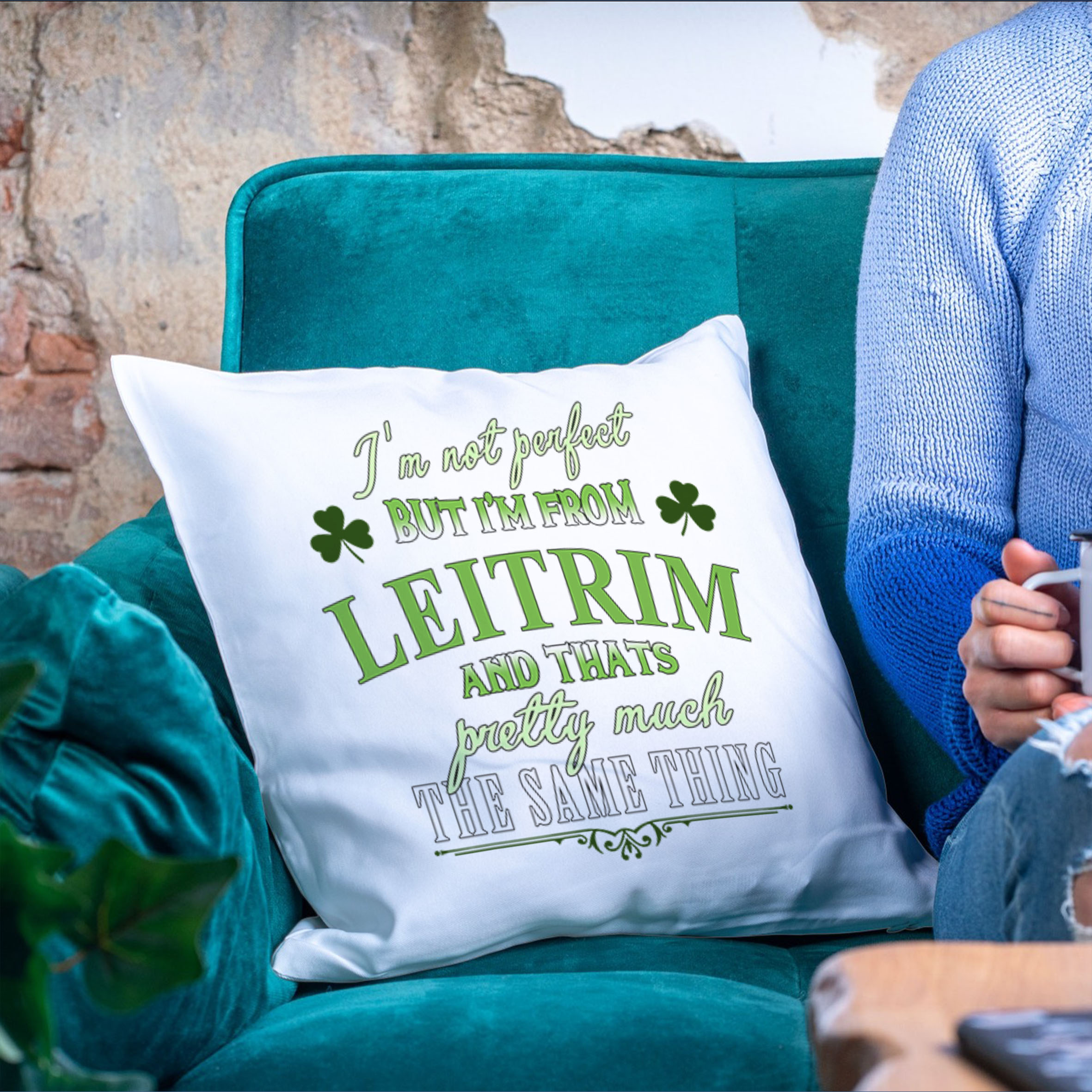 Cushion #1 - I'm not perfect, I'm from Leitrim Cushion