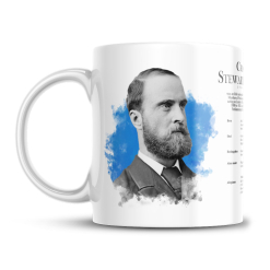 Alternative view of Charles Stewart Parnell Pics Mug