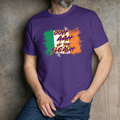 Alternative view of Ooh Ahh up the Fleadh Ireland T-Shirt