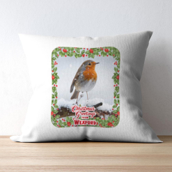 Robin Greetings from Ireland/Town Cushion